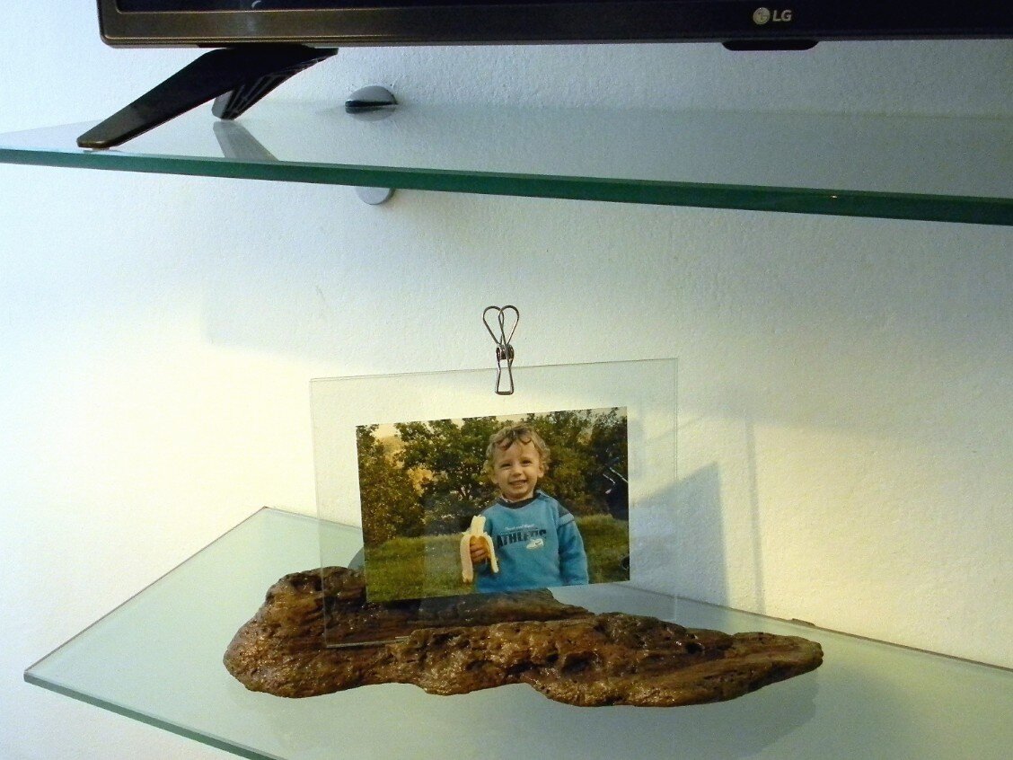 Cornice per fotografie tronco d'albero