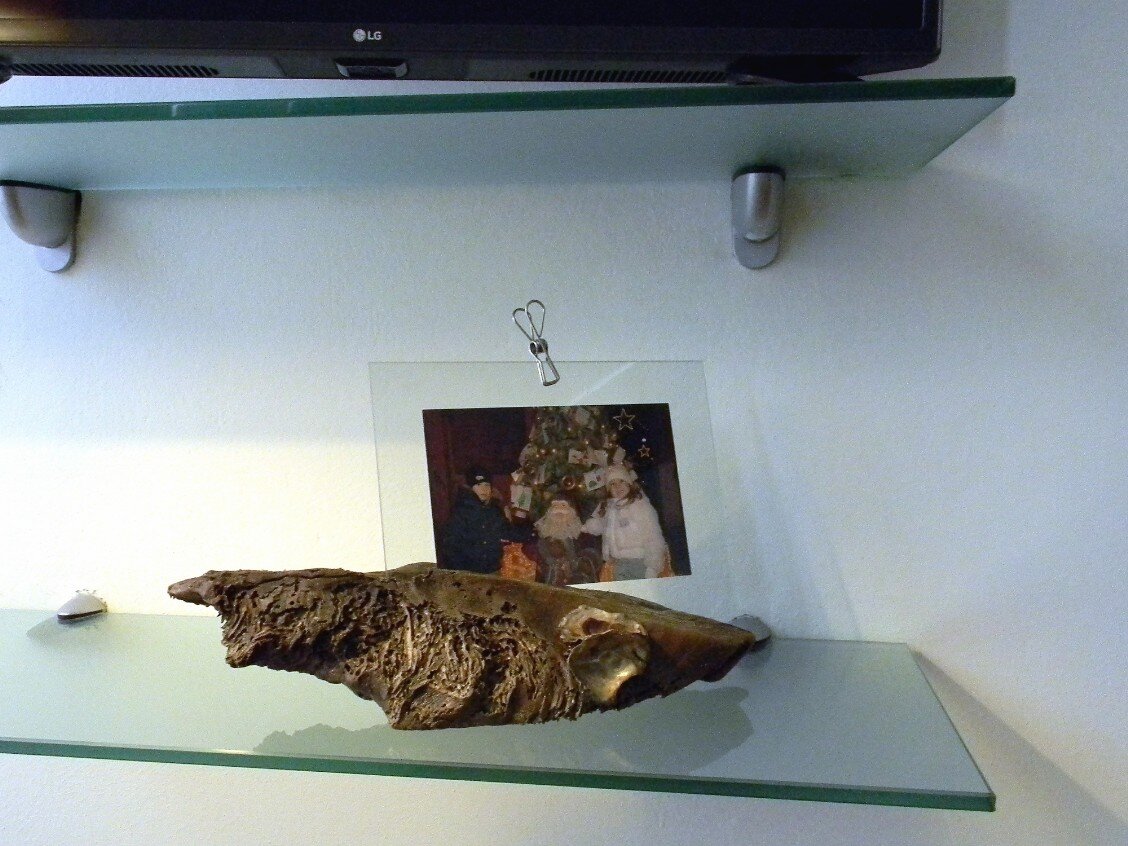 Portafoto cornice legno tronco d'albero con conchiglie