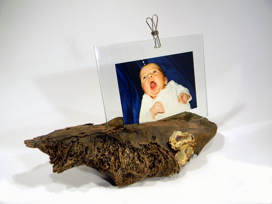 Portafoto cornice design tronco d'albero con conchiglie
