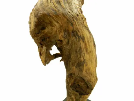 Lampada scultura di legno
