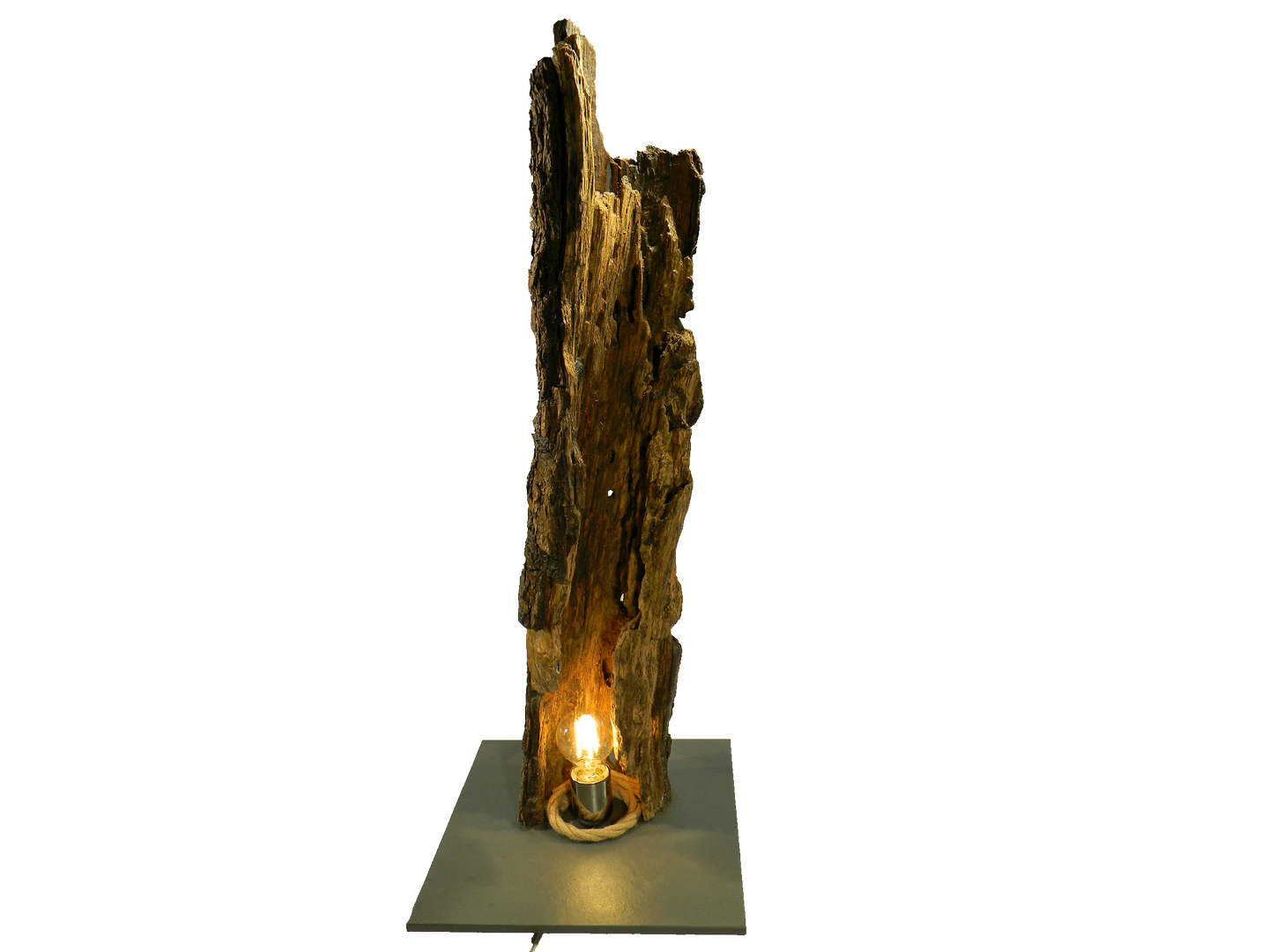 Lampada corteccia tronco d'albero tree bark