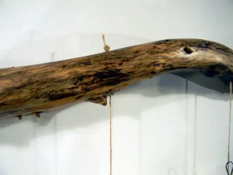 Portafoto cornice multipla da parete ramo di legno