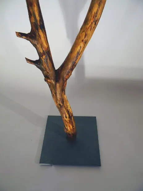 Appendino ramo tronco di legno
