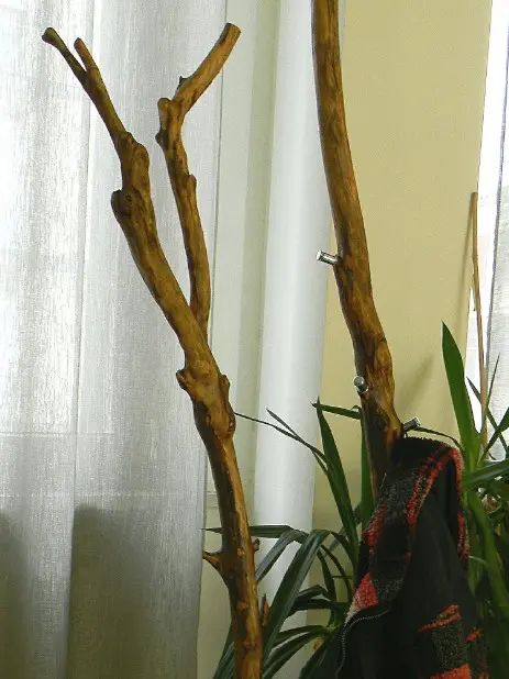 Attaccapanni appendiabiti ramo di legno