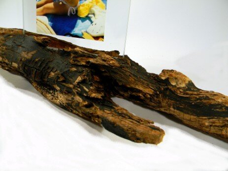Portafoto cornice ramo in legno con corteccia