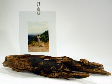 Portafoto cornice ramo con corteccia d'albero